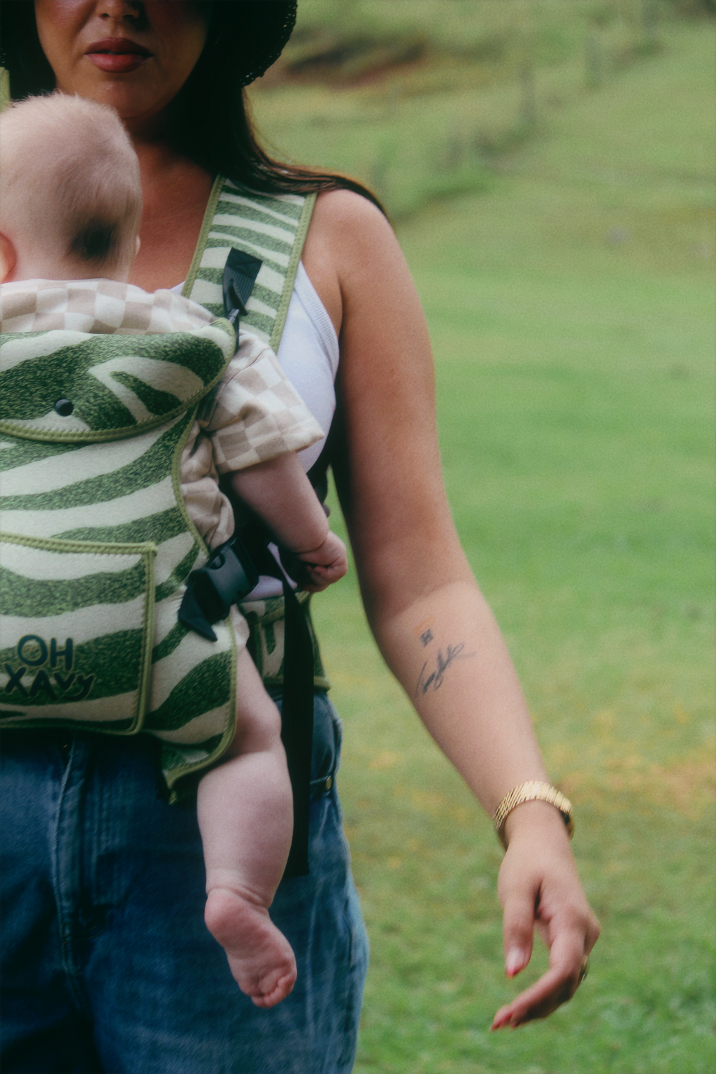 Olive Zebra