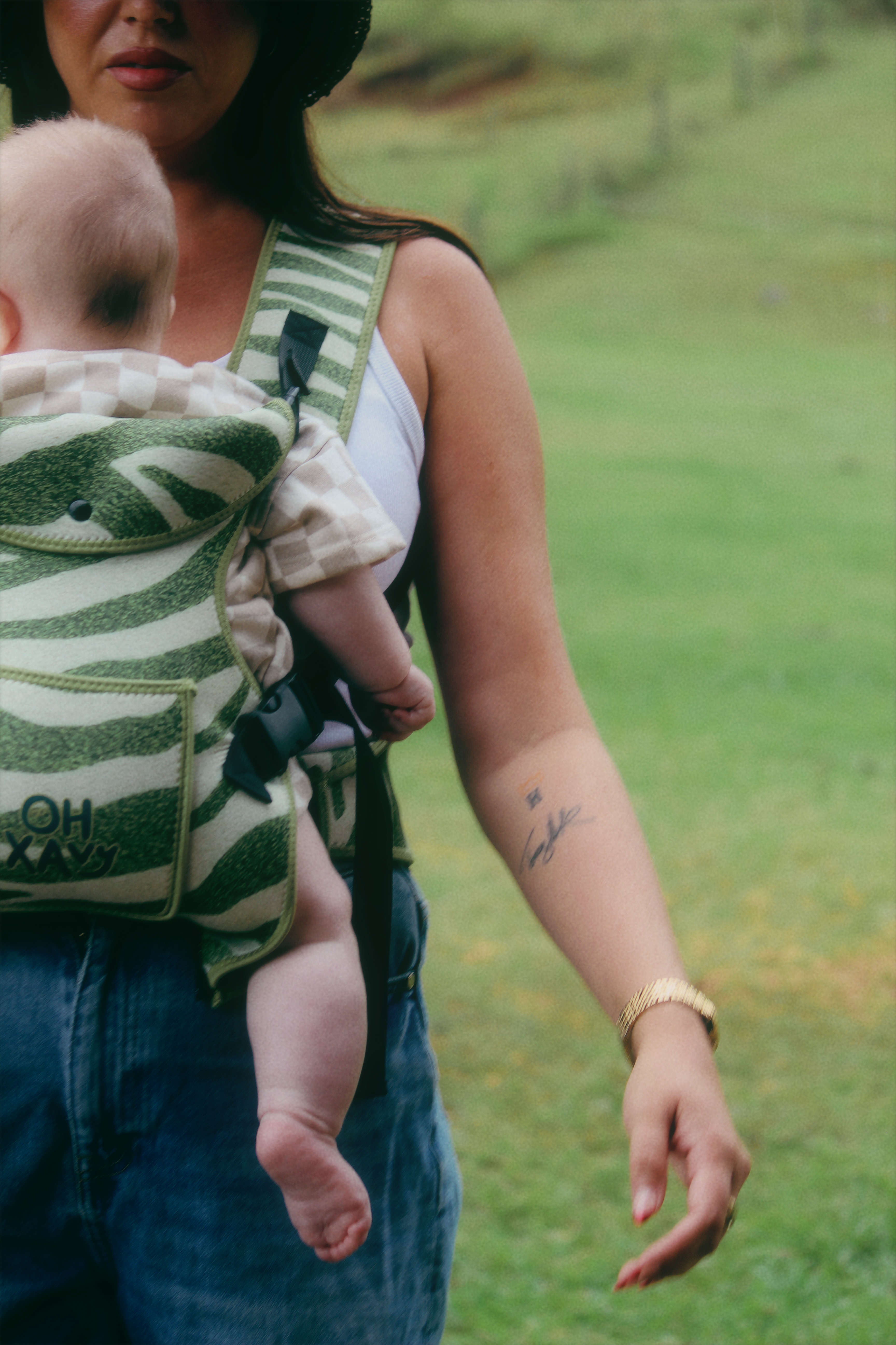 Olive Zebra