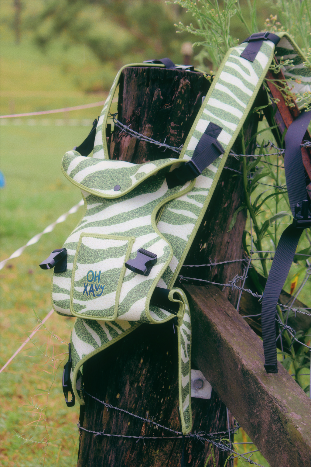Olive Zebra